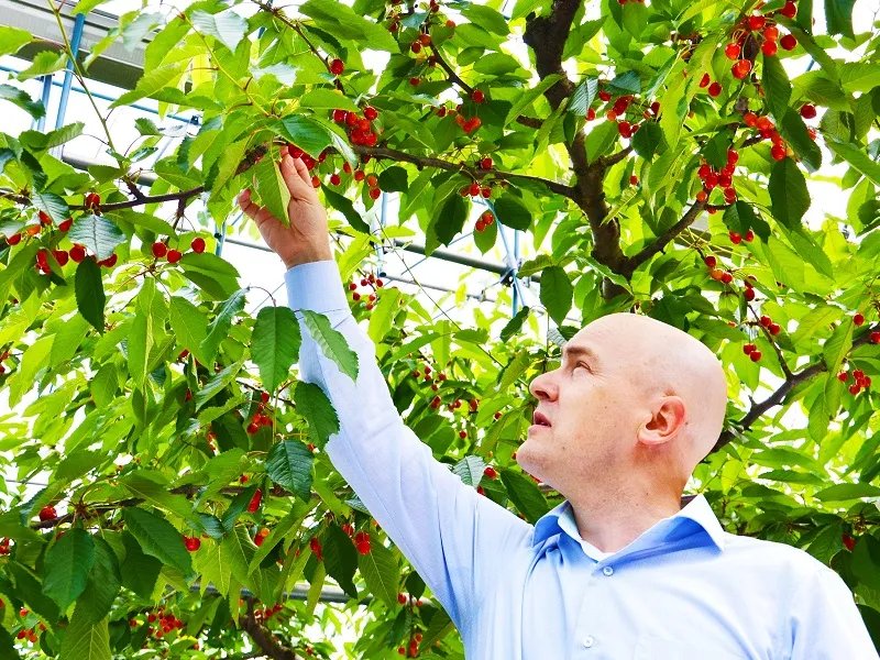 🌳 마루에 관광 과수원(마루에 칸코 카주엔)